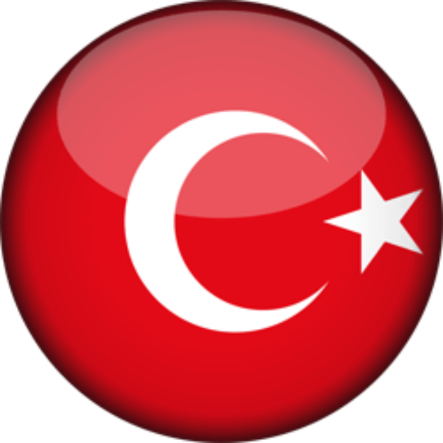 Signed in Turkey logo