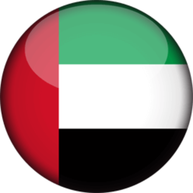 Signed in UAE logo