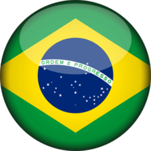 Signed in Brazil logo