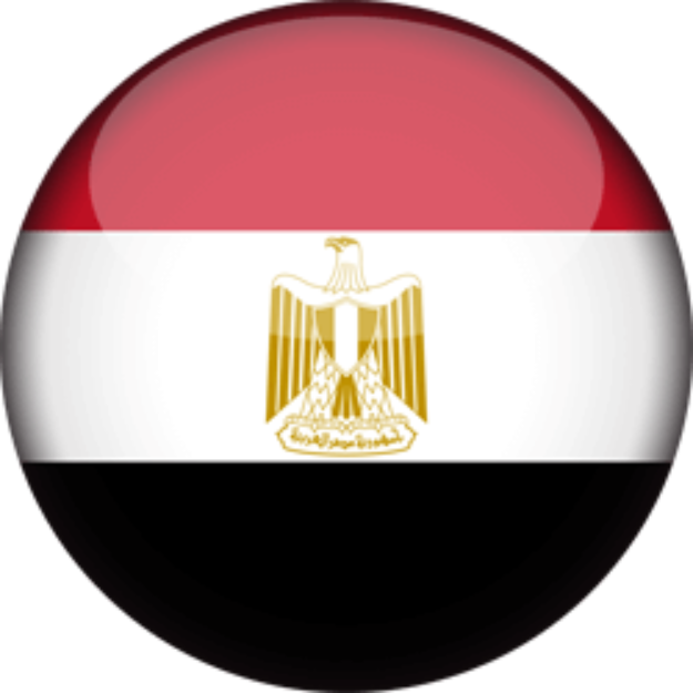 Signed in Egypt logo