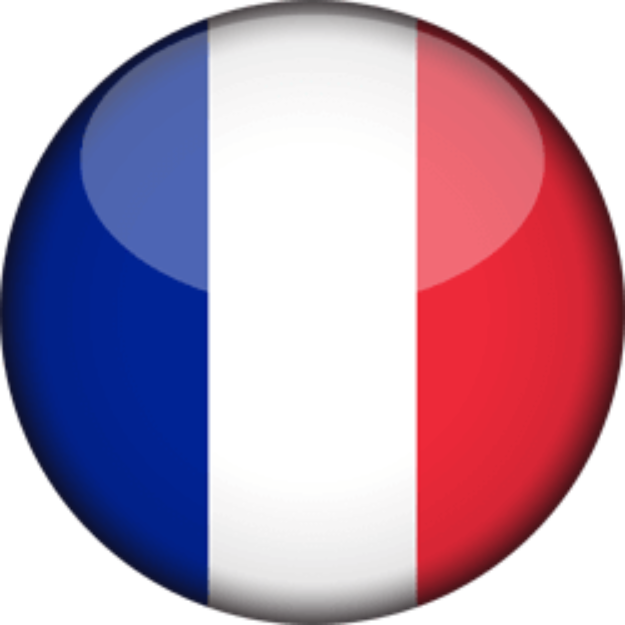 Signed in France logo