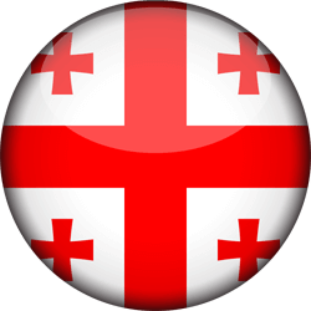 Signed in Georgia logo
