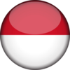 Signed in Indonesia logo