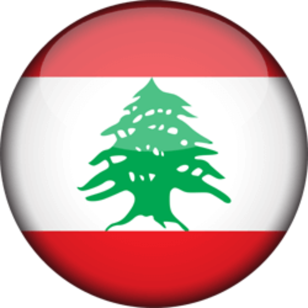 Signed in Lebanon logo