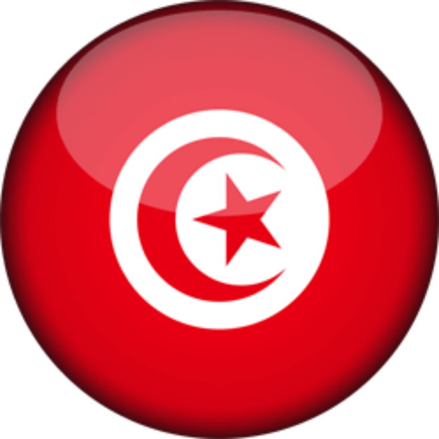 Signed in Tunisia logo